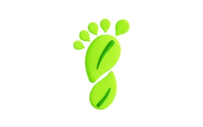 Do You Think About Your Website’s Carbon Footprint? Maybe You Should